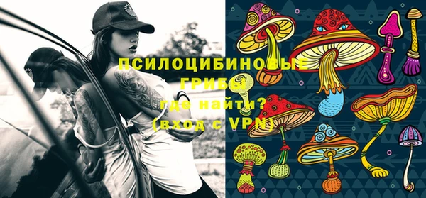 прущий лед Верея