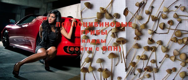 PSILOCYBIN Верхнеуральск