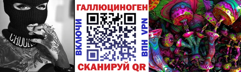 Купить где  Сухой Лог  Псилоцибиновые грибы ЛСД 