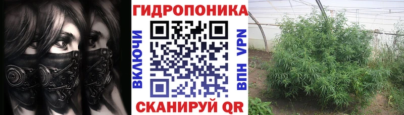 Купить закладки  Сухой Лог  Марихуана планчик 
